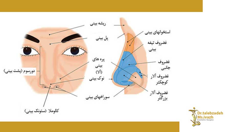 روشهای جراحی بینی در مشهد